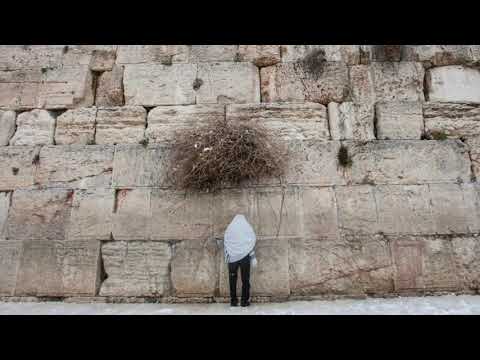 תפילה לעני שלמה ניסים