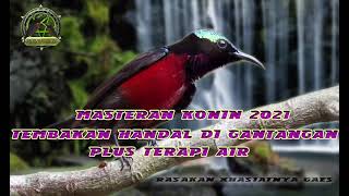 Download lagu MASTERAN KONIN TERBARU 2021 TERAPI AIR TEMBAKAN HANDAL DI GANTANGAN mp3 Download lagu MASTERAN KONIN TERBARU 2021 TERAPI AIR TEMBAKAN HANDAL DI GANTANGAN mp3