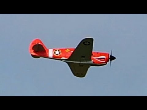 RC Curtiss P-40 Warhawk Robbe Nano-Racer , Flight Demonstration *HD*
