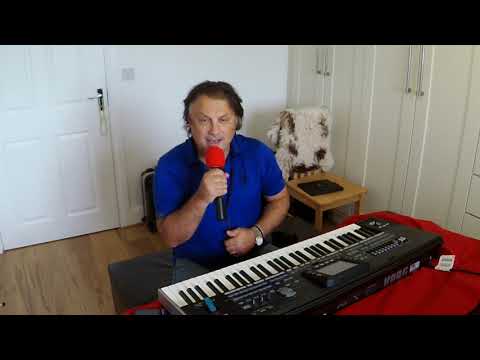 ALEN OSMANOVIC-VREMENA SU KOKUZNA-DINO MERLIN