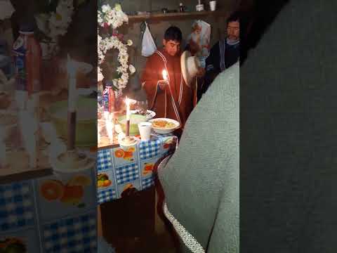 TRADICIONAL "PITZGAY" PROVINCIA DE MARISCAL LUZURIAGA