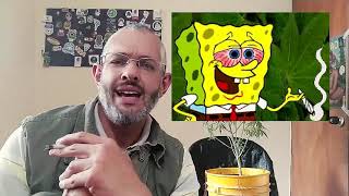 Su vecino lo jode por marihuanero Acá le contamos porqué no lo pueden joder!