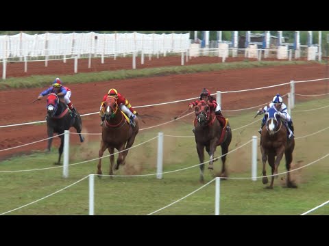 VDA GIGOLO - 400m - Premio 8vo Aniversario - Hipódromo Artigas - 12/11/2022