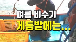 게통발에는 어떤게 들어 있을까요?