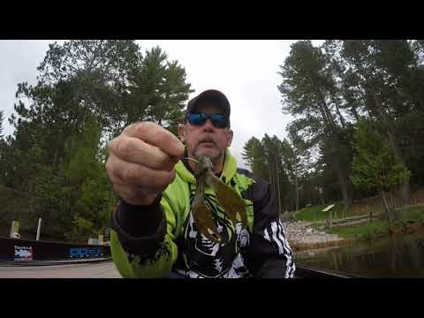 Cadaver Chunk Trailer from BassReaper Bait Co