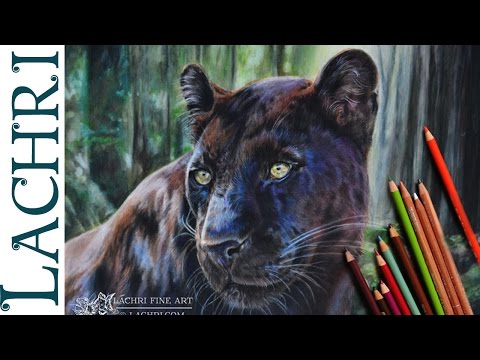 Black leopard colored pencil tutorial - speed drawing...