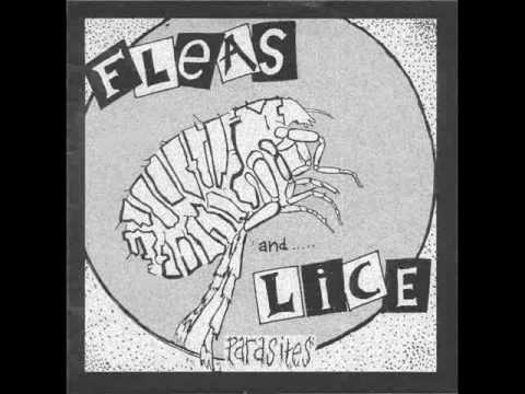 Fleas And Lice - Shit For Brains
