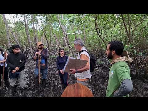 Importância dos Ecossistemas Costeiros