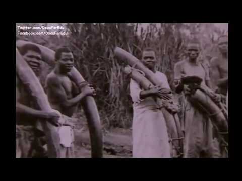 Wild Animals Journeys - Part 4 : Lions in The Wild | Sir Anthony Hopkins Journeys (Documen