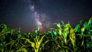 Static-X - December (Unofficial Music Video)