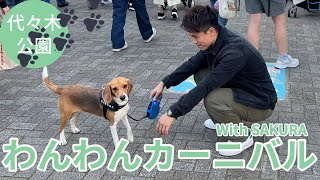 [遊記] 代代木公園狗狗市集 Wanwan Carnival.