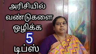 5 Tips to get rid of Insects In Rice in Tamil