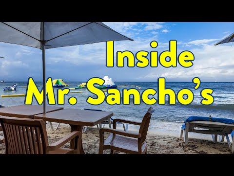 Our Honest Day at Cozumel’s Famous Beach Club | Mr. Sancho’s Cozumel Beach Club