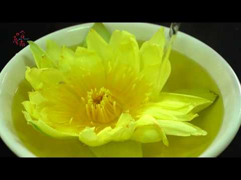 炎熱的臺南EP8.蓮花的故鄉 (Hot Tainan EP8.Home of the Lotus)