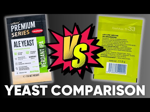 Verdant IPA vs Safale S-33 Yeast Comparison