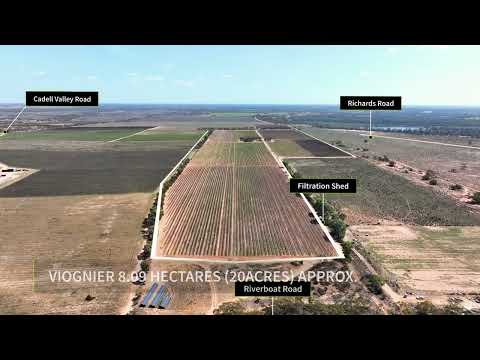 126 Riverboat Road, Cadell, SA 5321, 0 Schlafzimmer, 0 Badezimmer, Lifestyle Property