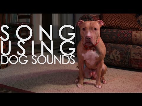 song made from DOG SOUNDS