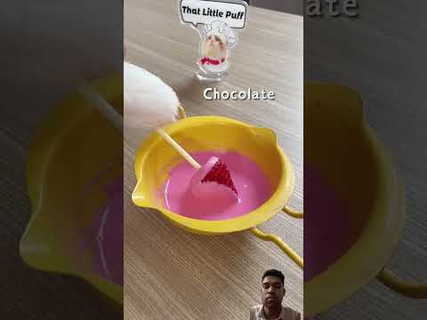 #cat #cute #pets #strawberry #icecream #thatlittlepuff