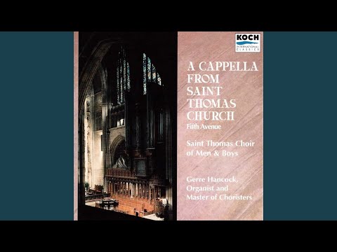 Organ Improvisation II