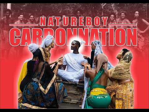 The Rise & Fall of Natureboy & Carbonnation: The Littest Cult on Social Media