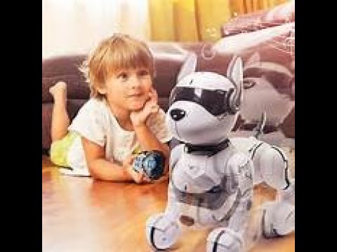 Remote Control Robot Dog Toy, Robots for Kids, Rc Dog Robot Toys for Kids 3,4,5,6.