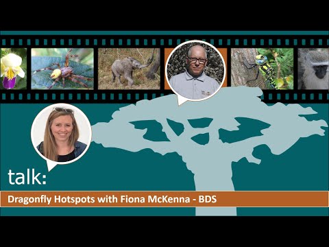 talk:  Dragonfly Hotspots with Fiona McKenna