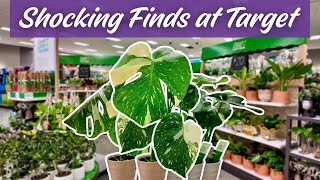 You NEED to See Target’s New (and CHEAP) Plants!