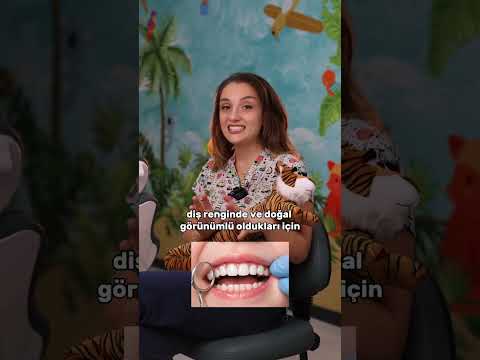 Hande İlgin Şişman-1
