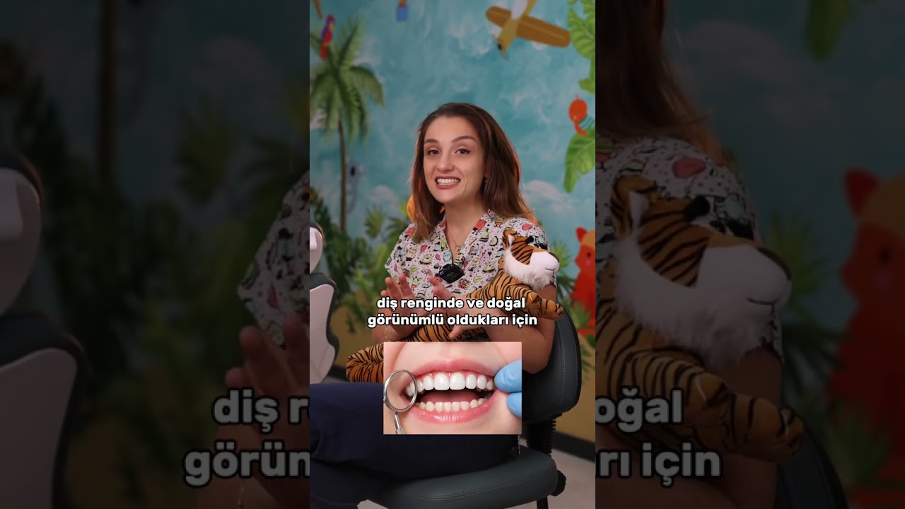 Hande İlgin Şişman-1