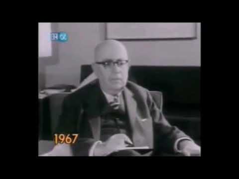 Adorno reagiert auf Egotronic