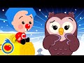 La Lechuza Se Equivoca Canciones Infantiles Plim Plim