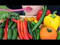ASMR VEGGIE PLATTER 1 5 CHALLENGE HOT CHILI RAINBOW CABBAGE BELL PEPPER EXTREME CRUNCHY SOUNDS