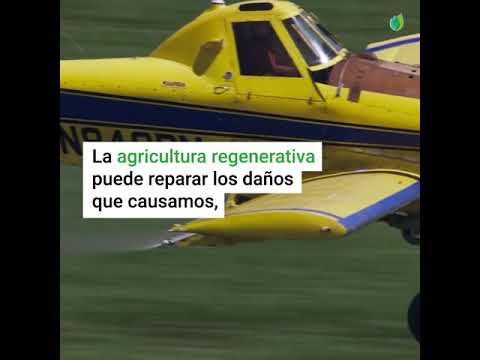 Gabin: El documental que retrata una década de vida rural en Cannes