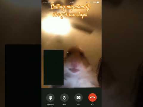 i need to call her right now