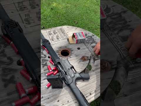CHARLES DALY 601 Semi-Automatic Shotgun FIRST SHOT Review
