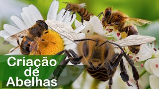 Miniatura do vídeo