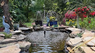 Cariani Farms - Koi Pond Chat