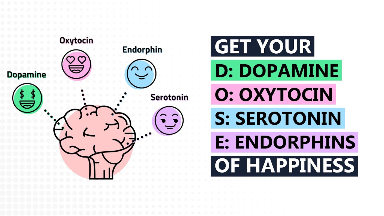 Know Your Happy Hormones and Learn Effective Ways To Boost Them Naturally