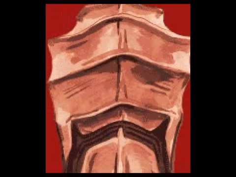 GuitarFreaks 10 & DrumMania 9 - Model DD5