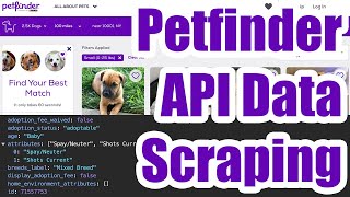 No-Code Petfinder API Data Scraping with HAR Files (Still Works in 2026)