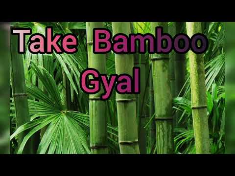 Take Bamboo - Melick & Boogy Rankss Dutty Dutty Riddim(2022 Soca)