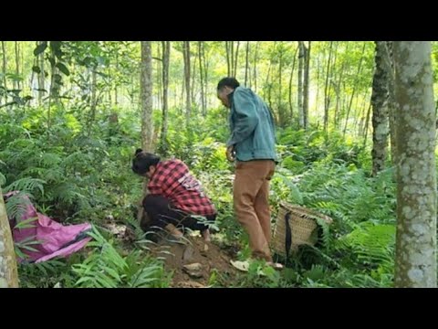 She and I went into the forest to dig potatoes to eat every day.