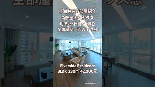 【上海ルームツアー】角部屋の一面ガラス張りリビング。明るさ・日当り・景色も最高!全部屋壁一面のガラス窓◎長河国際公寓