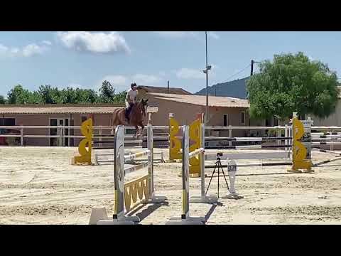 Galazza de fondcombe (Ugano sitte x Diamant de semilly)