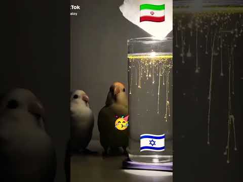 Iran vs Israel #100millon #love #military #100kvews #facts #duet #unfrez #musicgenre #pakistanarmy