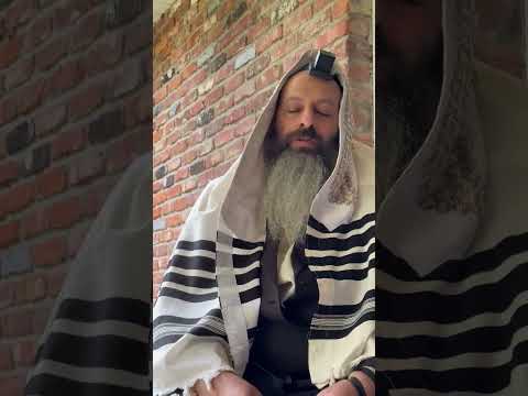 באשעפער גיבט פרנסה