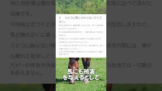 【競馬】牧場の馬を触った人が炎上している!?  #shorts