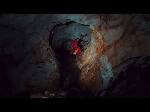 Antipod (Official Trailer)