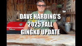Dave Hardings Fall GingkoFest Update
