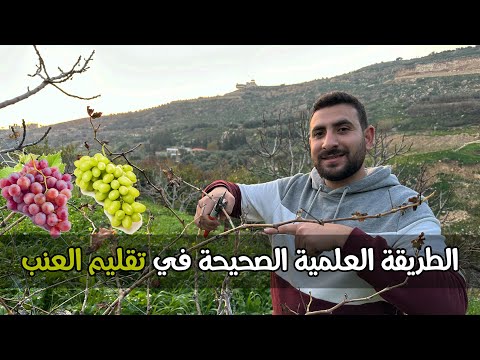 , title : 'تقليم العنب بطريقة علمية صحيحة وسهلة للجميع (لجميع أنواع العنب )grape pruning'